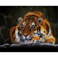 YEESAM ART Peinture par Numero Adulte Tigre Animal, Peinture Numero d Art Sans Cadre 16x20 pouce Acrylique