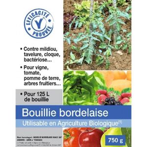 Comment Faire De La Bouillie Bordelaise La Bouillie Bordelaise