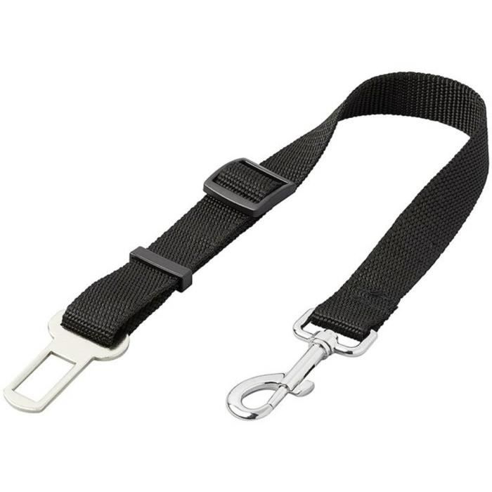 Meilleurs prix pour Laisse pour ceinture de sécurité - ProPlus 730017 - Noir - Chien
