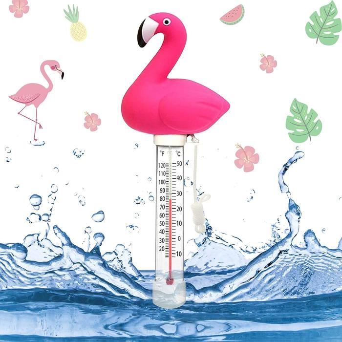 Thermomètre De Piscine Numérique Thermomètre Flottant De Spa De