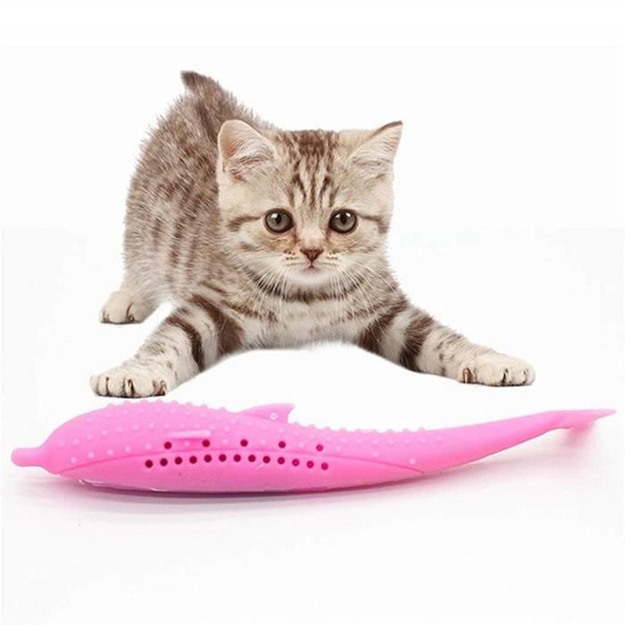 Chat Brosse A Dents Jouet En Forme De Poisson Molaire Baton Catnip Saveur Dents De Chat Jouet De Nettoyage Cdiscount Chat Brosse A Dents Jouet En Forme De Poisson Molaire Baton Catnip Saveur Dents De Chat Jouet De Nettoyage Cdiscount