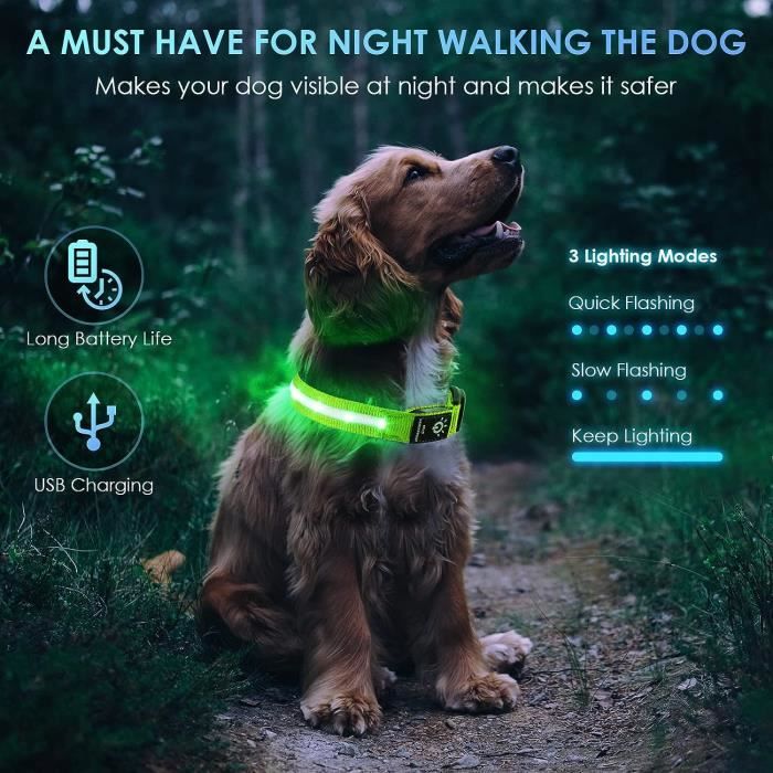 Collier Lumineux Pour Chien Rechargeable USB - LED Réglable, Clignotant, étanche, Tailles XS à L - 6
