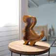 A -Tirelire en bois en forme de dinosaure, réservoir de stockage, cadeaux exquis, décoration pour la maison, le salon et la chambre-3