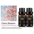 2-Pack 10ml Huile essentielle de fleur de cerisier, huiles d’aromathérapie pour diffuseur, massage, savon, fabrication de bougie-0