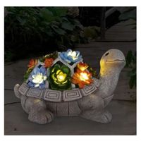 Résine Statue de tortue de jardin extérieur - avec plantes succulente et 7 lampes LED à énergie solaire cadeau femme homme maman 