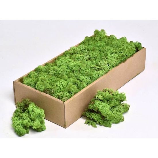 broche petit jardin d'hiver vert lichen