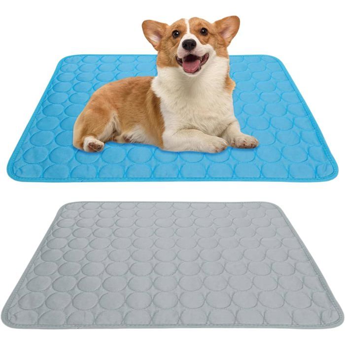 Tapis rafraîchissant pour animaux (lot de 2) - 60 x 50 cm - Lavable - Extérieur Maison (bleu foncé + gris clair)
