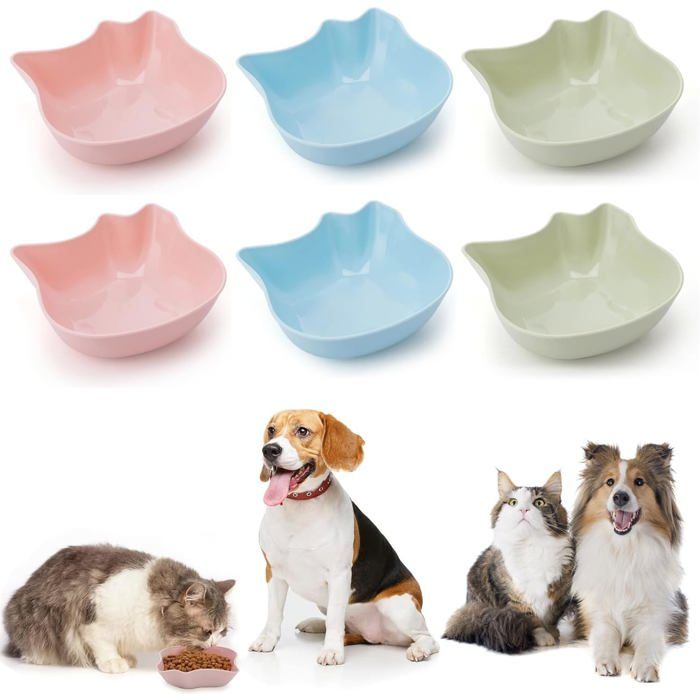 Ensemble de gamelles pour chat 6 pièces gamelles antidérapantes pour nourriture et eau pour chaton faciles à nettoyer