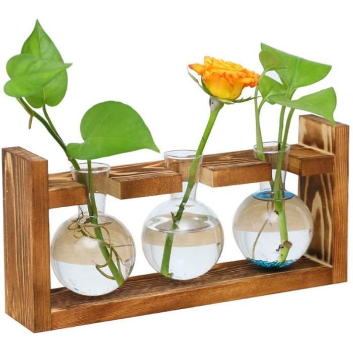 Wall Hanging ampoule verre Terrarium Pot vase Fleur jardiniere pot 2-pot