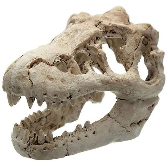 Meilleurs prix pour Ornement Aquarium Crâne De Dinosaure Décoration pour Réservoir De Poissons Halloween Aquarium Décoratif Résine Crâne sur Chenille