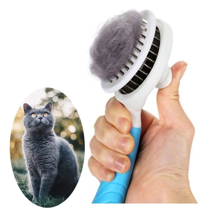 Meilleurs prix pour Brosse Pour Chats Et Chiens Brosses De Toilettage Pour Chats Et Chiens