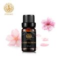2-Pack 10ml Huile essentielle de fleur de cerisier, huiles d’aromathérapie pour diffuseur, massage, savon, fabrication de bougie-1