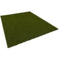 Chelsea - tapis type luxe gazon artificiel – pour jardin, terrasse, balcon - vert  - 200x100 cm-1