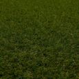 Chelsea - tapis type luxe gazon artificiel – pour jardin, terrasse, balcon - vert  - 200x100 cm-2