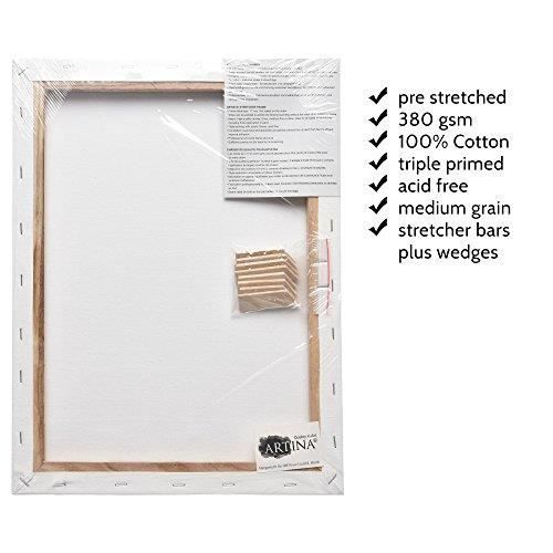 Châssis Entoilé Akademie Toile à Peindre Lot De 10-20x50cm 280g/m² Artina Apprêt