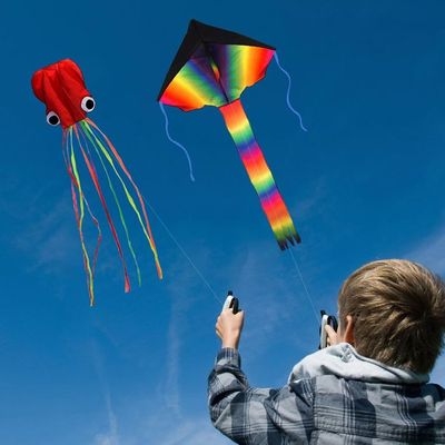 Cerf-volant Pieuvre Géant – 550x120 Cm, Corde 100 M, Sans Cadre, Coloré – Enfants Et Adultes