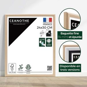 Cadre photo baroque doré 21,8x26,5 cm format 15x20 style tressé raffiné