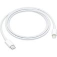 Original Apple USB-C to Lightning Cable - Câble Lightning 1M charging cable For iPhone iPad iPod MacBook Blanc-0