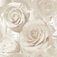Madison Rose Fond D'écran Floral De Perles Et De Crème - 10m x 53cm - Muriva 139524