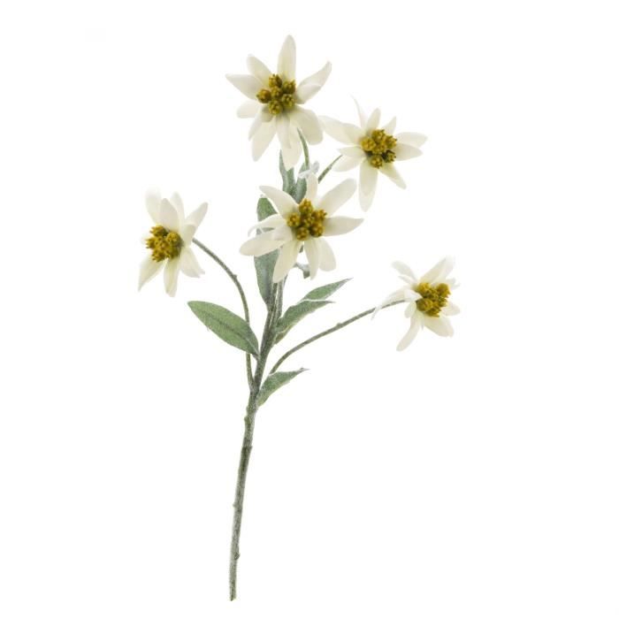 Edelweiss artificielle SOPHIA avec 5 fleurs, blanc, 40 cm - Fleur blanche - Bouquet artificiel