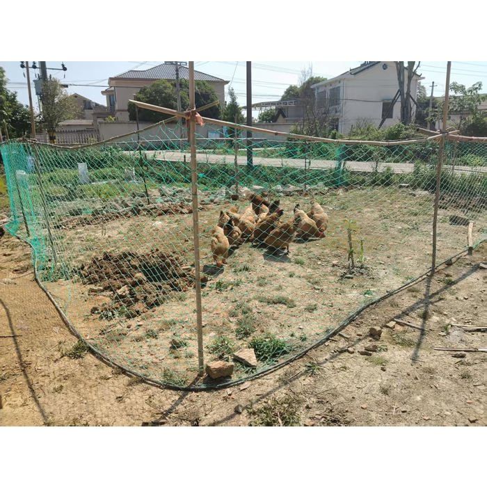 Comparer les prix de Filet de volière - DOK - Maille de 5 cm - 1.5m x 25m - Vert - Résistant aux UV - Découpable - Épissable