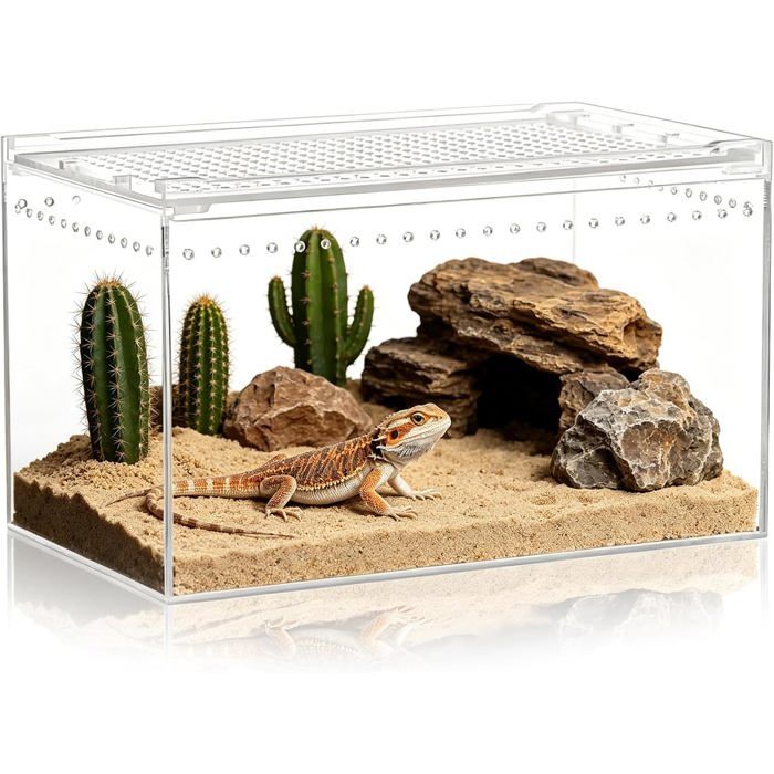 Terrarium Acrylique - 1 Unité - Transparent - Observation Reptiles Escargots - Habitat Animaux - 20x15x10cm MICRODERMABRASION