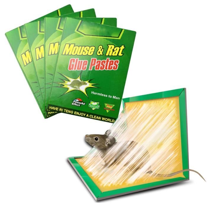 Catchmaster Piège Souris 4X | Solution Efficace Anti-Rongeurs