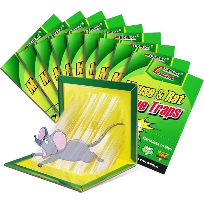 Piège à Souris Colle - 5 Pièces - Anti Souris Et Rats Puissant - Non Toxique - Pour Intérieur Et Extérieur