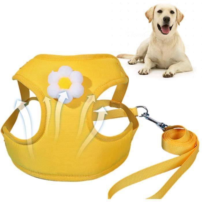 Harnais Réglable Pour Chien Et Chat, Gilet Avec Laisse En Plomb Pour Chiot, Collier En Polyester