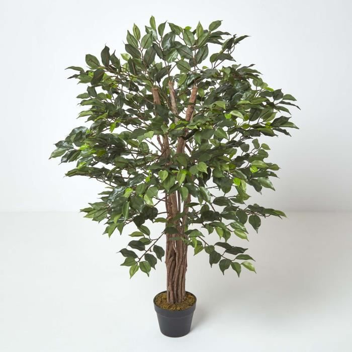 Figuier pleureur Ficus Benjamina Vert en pot 122 cm