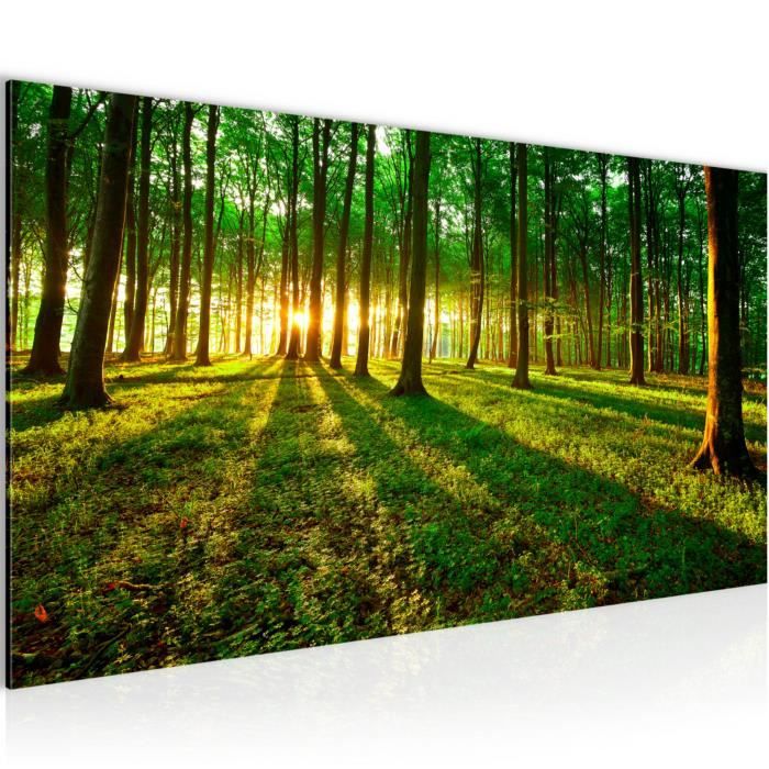 Tableau Toile Forêt Nature – 60x120 Cm – Impression HD – Sans Cadre – Décoration Murale Salon/chambre
