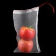 50pcs sacs de protection de fruits de plante sac de maille de cordon contre les insectes nuisibles outils de jardin （25 * 15 cm)-3