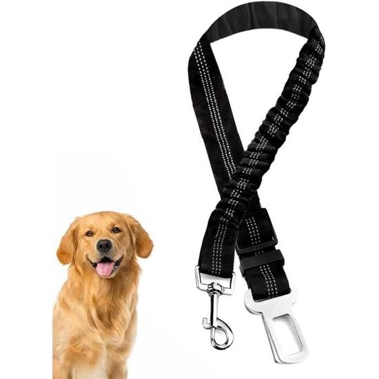 Lot De 2 Ceintures De Sécurité Pour Chien/chat - Harnais Réglable, Absorption Des Chocs, Mousqueton Solide
