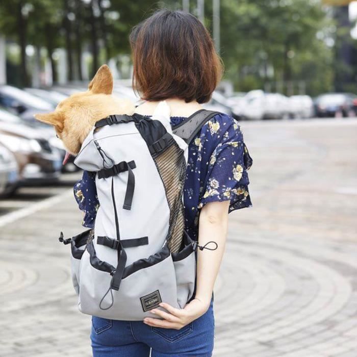Accessoires auto intérieurs,Universel pour chats chiens animaux sacs à dos S M L XL tailles motos sacs à dos pour - Type gray - S