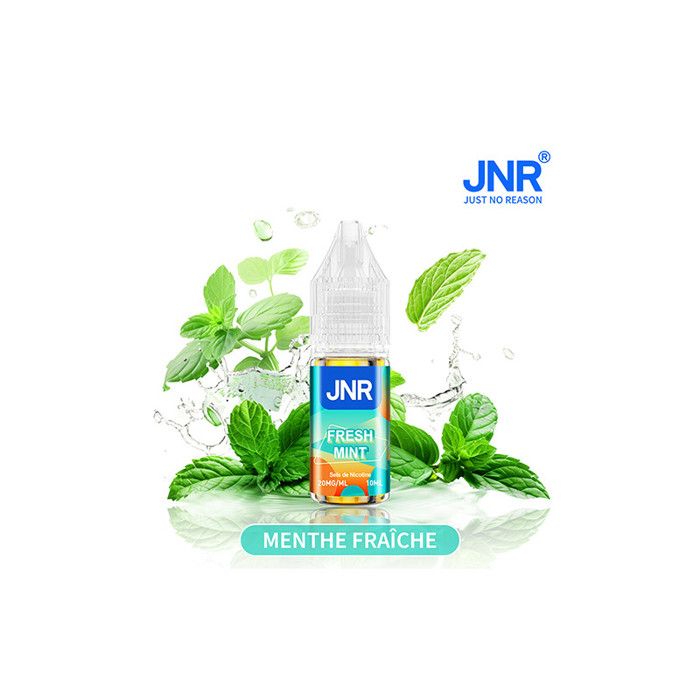 elfbar nachfüll pod läuft aus E-liquide Menthe | Achat en Suisse – Livraison 24h main image 0