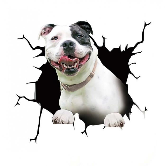 4 Autocollants Voiture Chien 3D - Labrador Et Bouledogue Réalistes 30x30cm