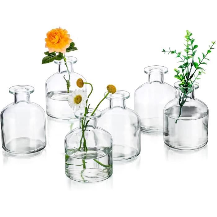 Vase En Verre Étroit 25cm - Pour Fleurs à Tige Unique - Décoration Bureau Ou Table