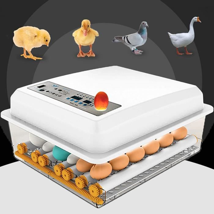 InLoveArts Incubateur de 30 œufs Couveuse automatique 30 Couveuse Incubateur Automatique Incubateur doeufs Numérique avec contrôle de lhumidité et retourneur doeufs intégré 