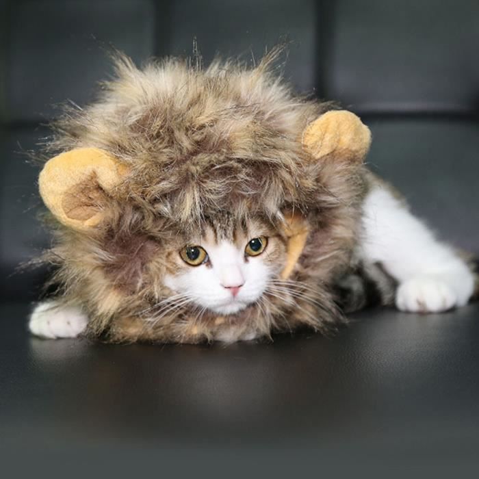Perruque Déguisement Pour Chats, Perruque Déguisement Halloween Noël de