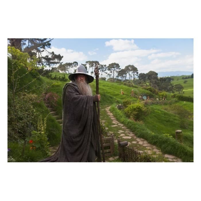 Poster Affiche Gandalf Dans La Comte Seigneur Des Anneaux(61x91cmB) Cdiscount Maison