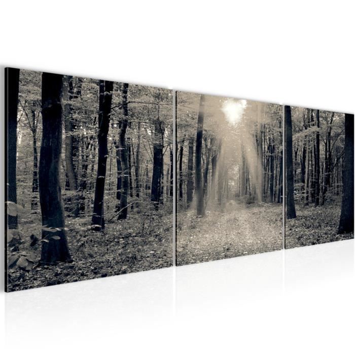 Tableau Déco Moderne Impression Sur Toile 90x30 Cm - Parc Nature Paysage, Marque ARTTOR