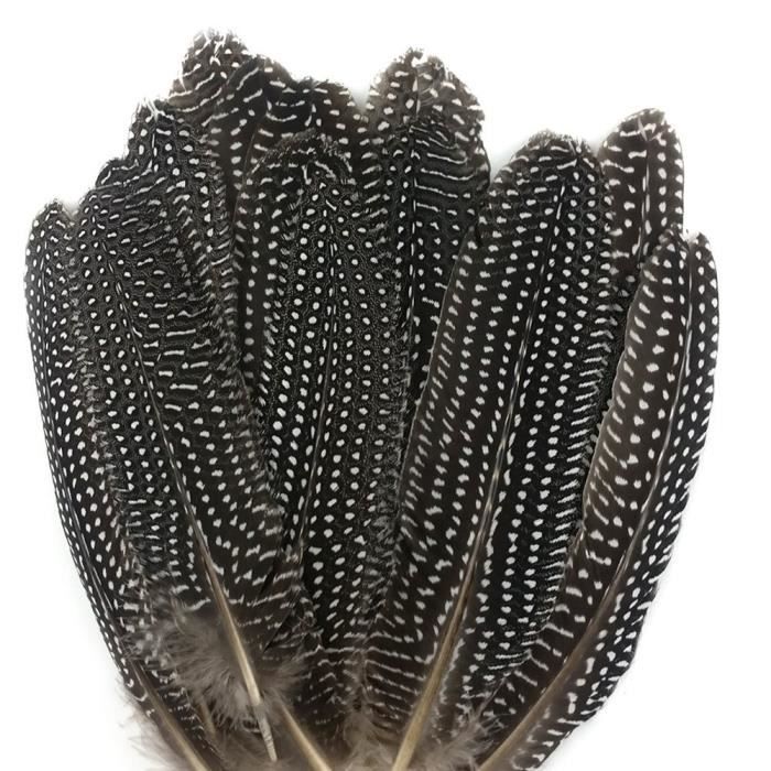 50 Plumes De Poulet Naturelles Décoratives - 12 à 15 Cm - Pour Créations DIY