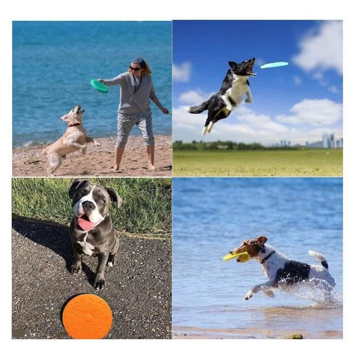 2 en 1 Multifonctionnel Durable Chien Pet Disque Volant Jouet Volant  Frisbee Soucoupe Volante Formation Jouets