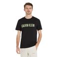 T-shirt CALVIN KLEIN 000NM1959EC7S Noir - Homme/Adulte-0