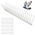 Pics Anti-Pigeon 3 mètres - Répulsif Pigeons Corbeaux Moineaux - Pointes inox - Flexible - Installation Facile Balcon, Fenêtre  -0