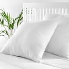 AUCUNE Pikolin Home - Oreiller/Coussin anti-acariens en fibre, avec housse en 100% coton. 50x50x16cm