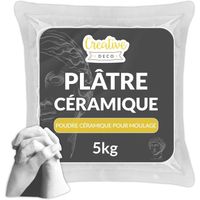 Creative Deco Platre pour Moulage 5kg | Plâtre Ceramique | Poudre de Ceramique | Alginate Moulage | Idee Cadeau Original | Jesmonite
