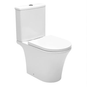 WC - TOILETTES Swiss Aqua Technologies Combi WC à poser sans bride, avec abattant softclose - remplissage par le bas (SATBRE030RREXVP)