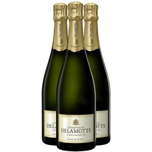 CHAMPAGNE Champagne Blanc de Blancs Brut Blanc - Lot de 3x75cl - Champagne Delamotte - 15-20 Gault & Millau - Cépage Chardonnay