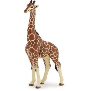 FIGURINE - PERSONNAGE Figurine Girafe mâle - PAPO - LA VIE SAUVAGE - Int